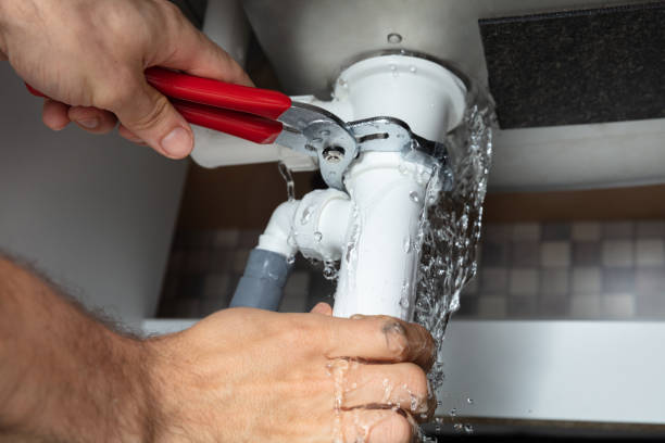 Best Basement water damage restoration  in Ewa Villages, HI
