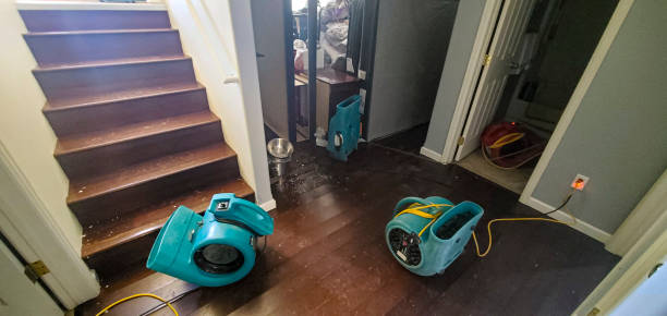 Best Water damage cleanup near me  in Ewa Villages, HI