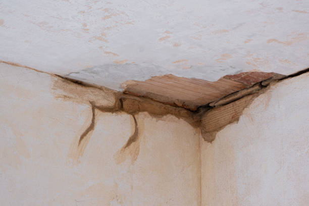 Reliable HI Water damage restoration Solutions