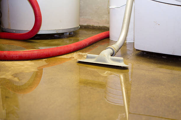 Best Water damage cleanup near me  in Ewa Villages, HI