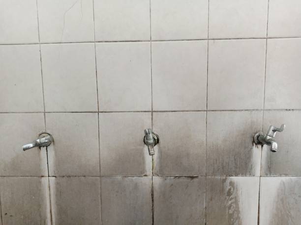 Best Flood damage cleanup  in Ewa Villages, HI